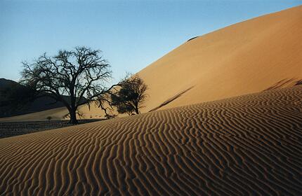 Foto Namibia, Dne 45