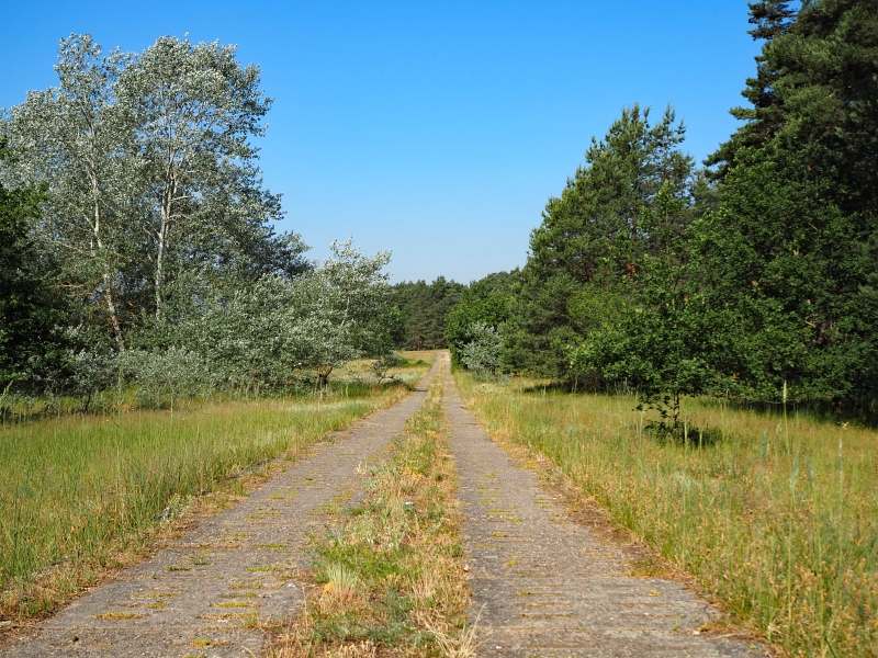 Iron Curtain Trail und Grünes Band, Foto 35, Kolonnenweg, Rad- und Wanderweg Grünes Band