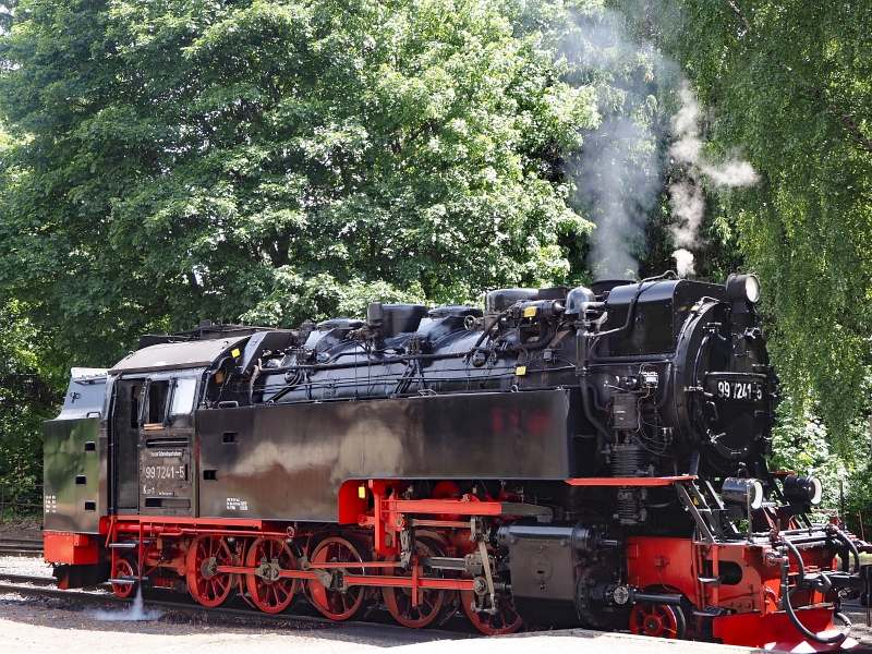 Iron Curtain Trail und Grünes Band, Foto 62, Dampflokomotive am Bahnhof Drei-Annen-Hohne