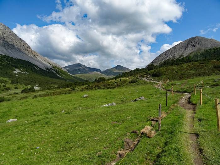 MTB Transalp vom Allgäu zum und um den Gardasee, Trail kurz vor dem Pass Costainas