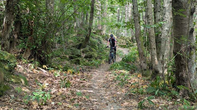 MTB Ligurien 2026 - Trail im Wald