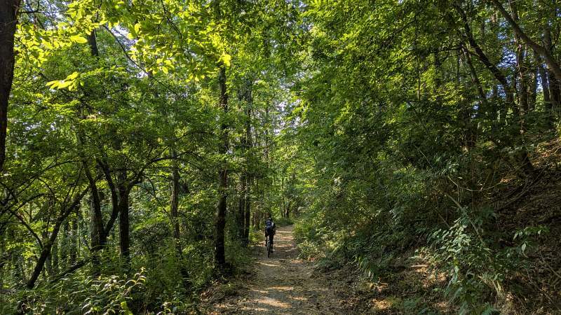 MTB Ligurien 2026 - Trail im Wald