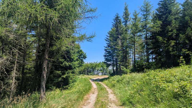 MTB Ligurien 2026 - Feldweg