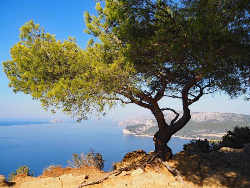 Frankreich, Provence Rundreise, Viewpoint an der Panoramastraße von Cassis nach La Ciotat, Foto 094