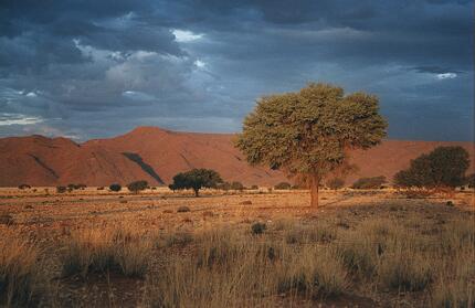 Foto Namibia, Seltene Regenwolken