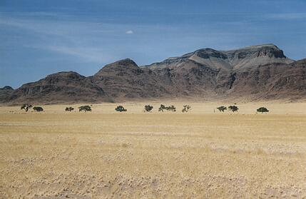 Foto Namibia, typisch blauer Himmel