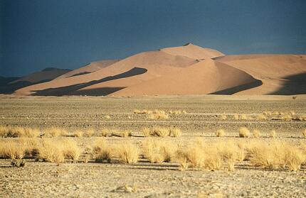 Foto Namibia, Sanddünen im Namib Naukluft Park