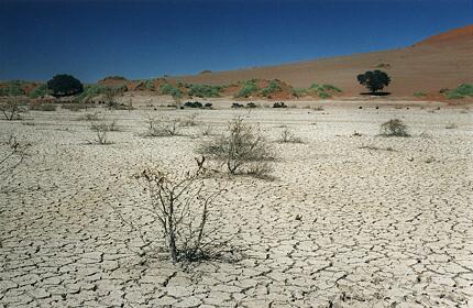 Foto Namibia, vertrockneter Lehm im Sossusvlei