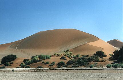 Foto Namibia, berühmte Düne im Sossus Vlei