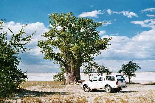 Foto 022 Namibia und Botswana 2003