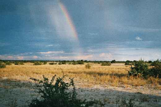 Foto 025 Namibia und Botswana 2003