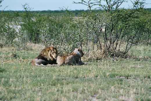 Foto 066 Namibia und Botswana 2003