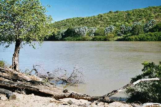 Foto 079 Namibia und Botswana 2003