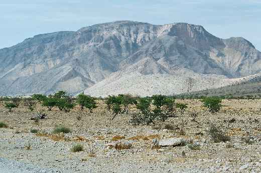 Foto 095 Namibia und Botswana 2003