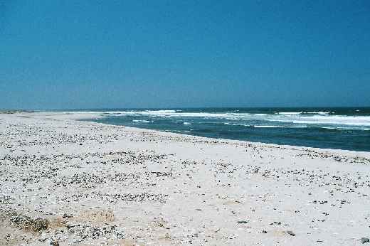 Foto 104 Namibia und Botswana 2003