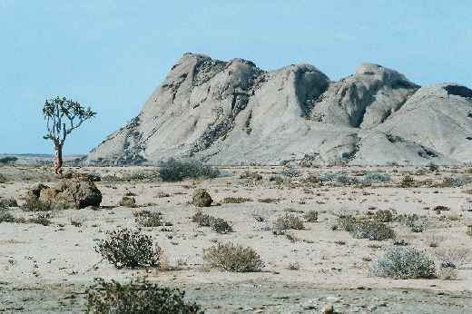 Foto 107 Namibia und Botswana 2003