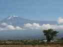 Blick von Moshi auf den Kilimanjaro